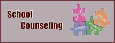 School Counselor